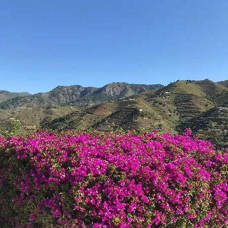 Homestay Casa El Olivo