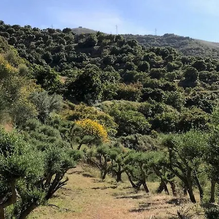 Casa El Olivo *