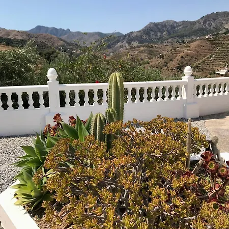 Проживание в семье Casa El Olivo