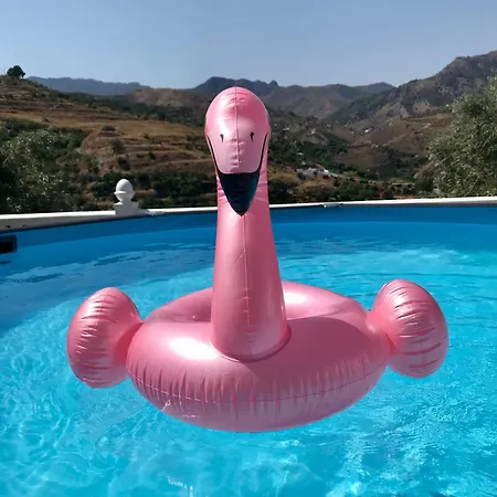 Privatunterkunft Casa El Olivo *