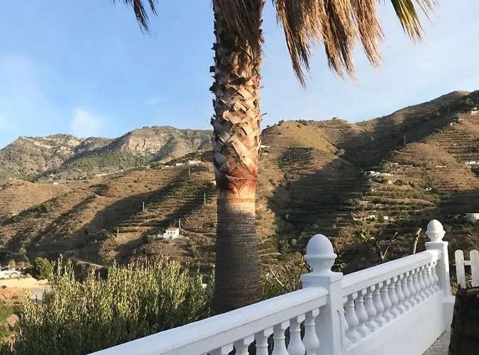 Casa El Olivo Homestay