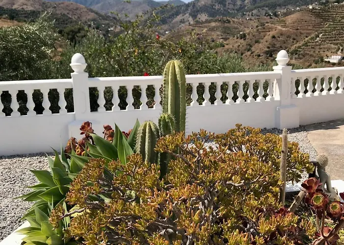 Homestay Casa El Olivo